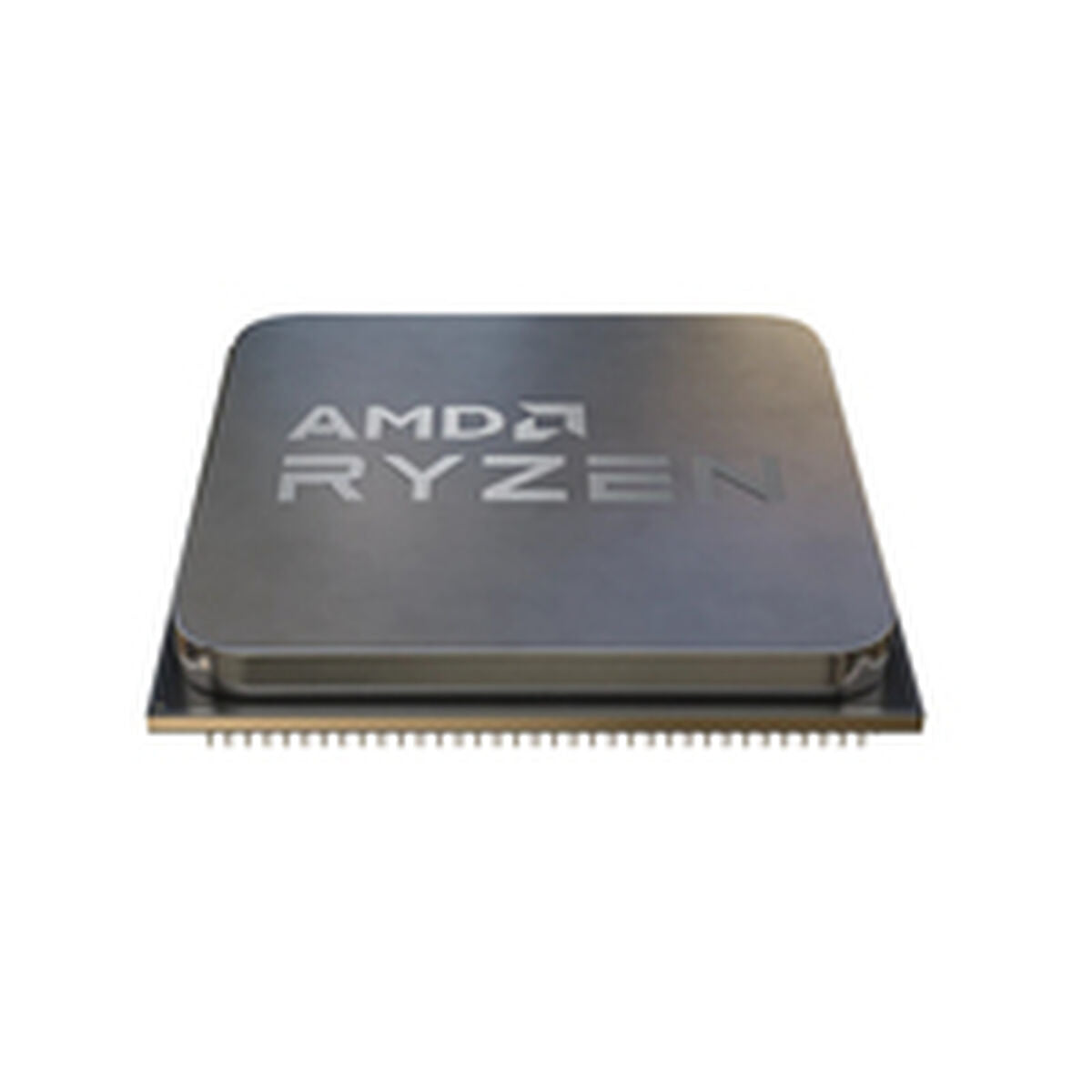 Processor AMD AMD AM5-1