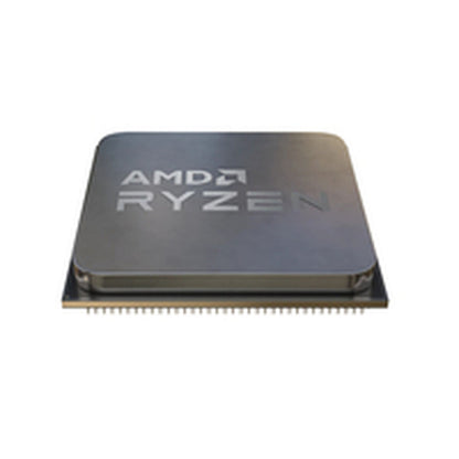 Processor AMD AMD AM5-1